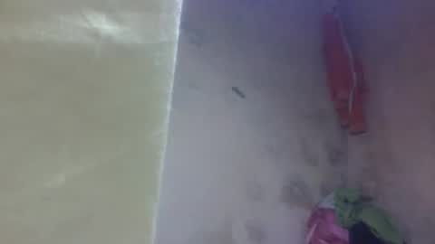 yanah online show from September 11, 11:21 am