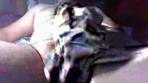 Snapshot of litwinpaweel chatting on October 28, 8:22 pm litwinpaweel online show from October 28, 8:22 pm