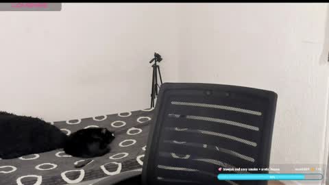 Liu help me to reach 100 thumps up daddy online show from April 6, 9:38 pm