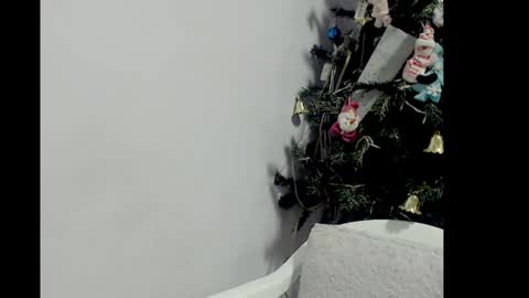 lizz1305 online show from December 26, 3:20 pm