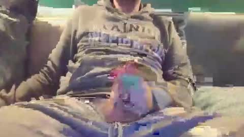 Lnkn online show from February 20, 5:46 pm