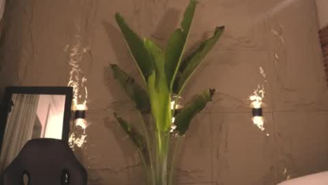 logan_varela online show from March 1, 9:18 am