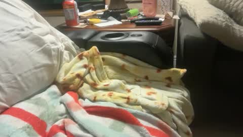 Snapshot of logical12345 chatting on December 1, 3:22 am logical12345 online show from December 1, 3:22 am