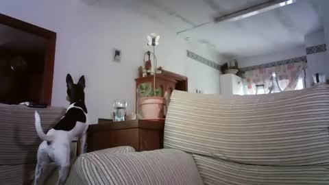 Snapshot of lolahueso chatting on October 6, 8:12 am LOLA HUESO y ERIC online show from October 6, 8:12 am