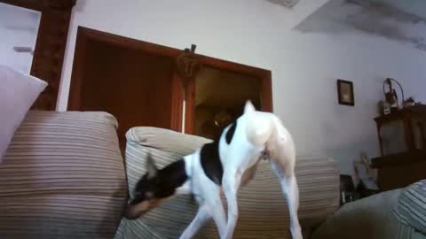 Snapshot of lolahueso chatting on January 15, 9:58 am LOLA HUESO y ERIC online show from January 15, 9:58 am