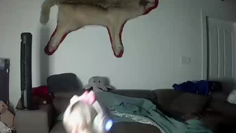 Lola Lixx online show from October 17, 9:56 am