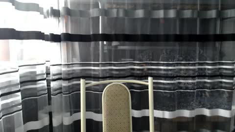 Snapshot of lollifox_1 chatting on October 5, 7:07 am Lisa online show from October 5, 7:07 am