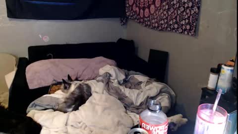 Snapshot of londonray chatting on November 15, 11:40 am londonray online show from November 15, 11:40 am