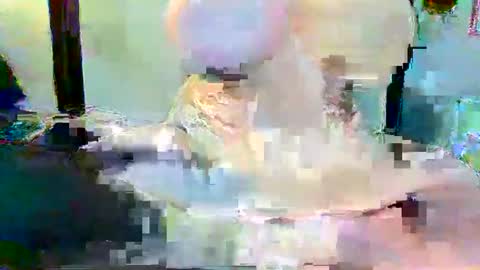 Snapshot of long_dong91 chatting on January 3, 5:10 pm Long Dong91 online show from January 3, 5:10 pm