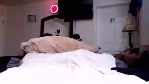 Snapshot of lookatmecum4you chatting on October 17, 8:28 am lookatmecum4you online show from October 17, 8:28 am