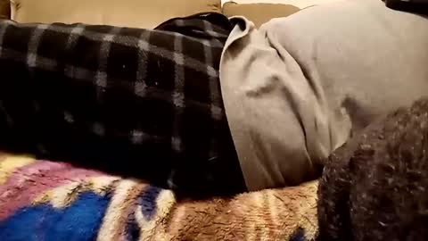 Snapshot of looking4bush chatting on December 1, 10:43 pm looking4bush online show from December 1, 10:43 pm