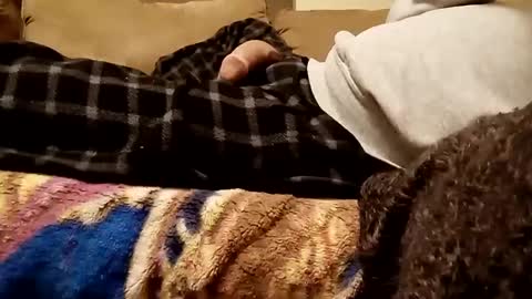 Snapshot of looking4bush chatting on December 3, 7:21 am looking4bush online show from December 3, 7:21 am