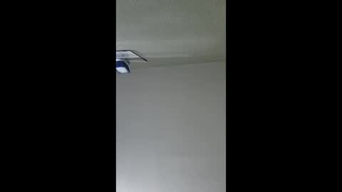 Snapshot of lopezpedro2791 chatting on December 17, 5:35 am 2791 3D online show from December 17, 5:35 am