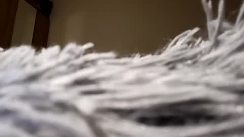 Lora online show from January 15, 8:05 pm