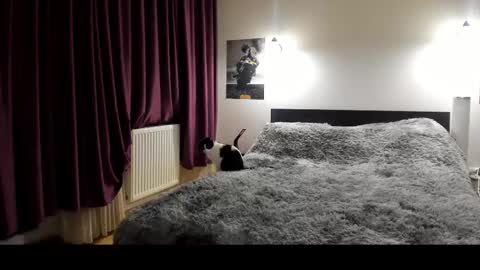 Lora online show from February 21, 5:53 pm