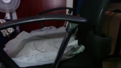 Snapshot of loveandrobotss chatting on December 6, 3:52 am Estiven online show from December 6, 3:52 am