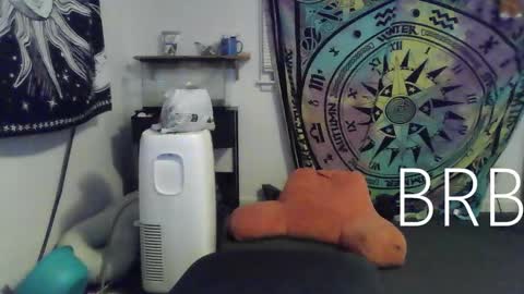 Snapshot of lovefun11334 chatting on January 18, 12:46 am Bigtitsgirl113 online show from January 18, 12:46 am