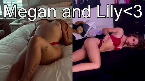 Snapshot of lovely_megan20 chatting on February 26, 7:53 am Megan online show from February 26, 7:53 am