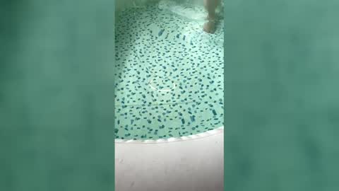 Snapshot of lovelyladyflaccid chatting on May 31, 6:09 pm lovelyladyflaccid online show from May 31, 6:09 pm