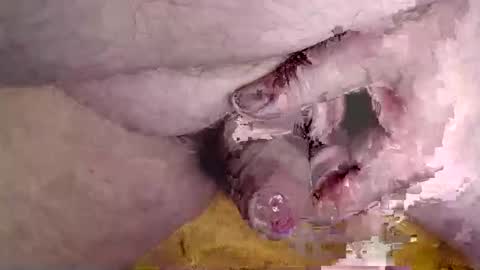 lover_troll online show from February 16, 10:44 am