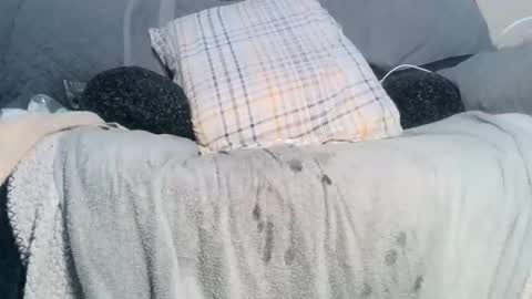 Snapshot of lovestobeused2 chatting on February 17, 2:19 am lovetobeused online show from February 17, 2:19 am