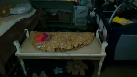 Snapshot of lovetubes101 chatting on September 19, 1:18 am lovetubes101 online show from September 19, 1:18 am