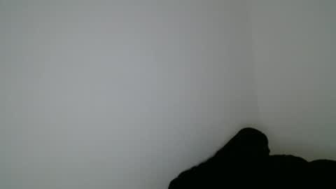 Snapshot of luana789 chatting on January 15, 9:51 pm luana online show from January 15, 9:51 pm