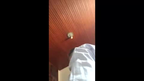 lucas online show from January 16, 4:55 pm