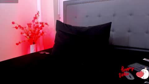 Snapshot of lucca_mallard chatting on February 14, 11:40 am Lucca IG Luccamallard online show from February 14, 11:40 am