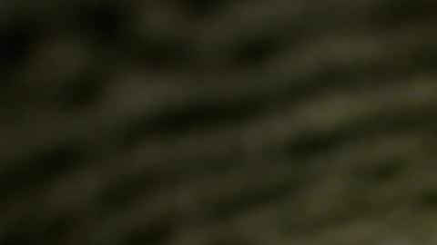 lucretiasissygothic online show from November 25, 5:07 am