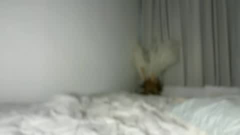Snapshot of lucyforr chatting on August 1, 4:23 am lucyforr online show from August 1, 4:23 am