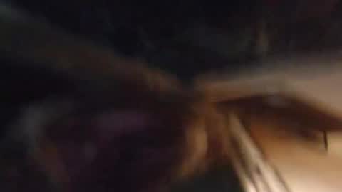 Snapshot of lucyvybes_and_gogert chatting on March 4, 7:08 am Lucy Vybes and Go-Gert online show from March 4, 7:08 am