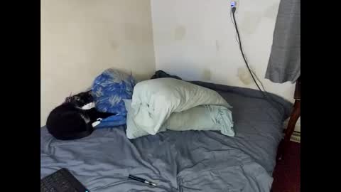 Snapshot of lukeandali23 chatting on February 1, 3:30 am Lukeandali420 online show from February 1, 3:30 am