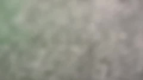 Harrison online show from May 17, 7:21 pm