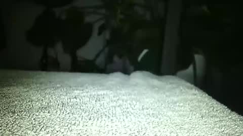 Luke online show from April 17, 1:19 am