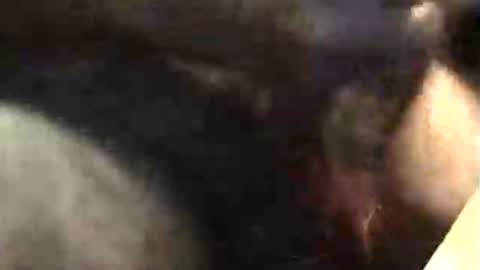 lukestarfckr online show from November 18, 5:34 am