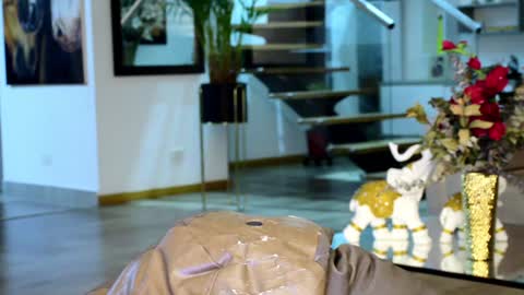 Snapshot of lukhass chatting on February 1, 5:07 am Lukhas f4f online show from February 1, 5:07 am