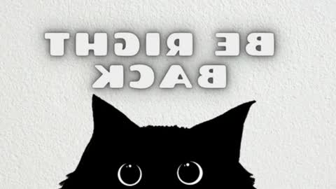 elizabeth online show from March 6, 12:18 am