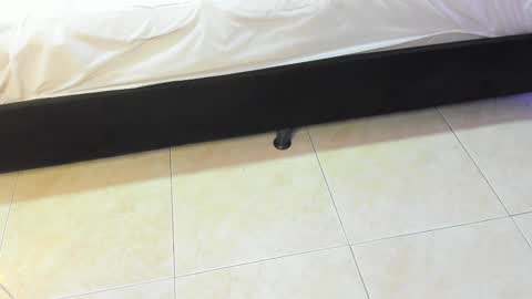 Snapshot of lulu_kawai chatting on February 10, 7:18 pm lulu online show from February 10, 7:18 pm