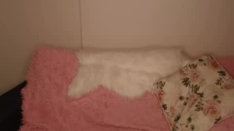 Luna online show from December 20, 2:35 pm