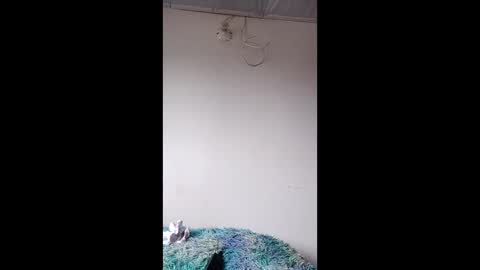 Snapshot of lunaa_ember chatting on December 21, 4:36 pm luna ember online show from December 21, 4:36 pm