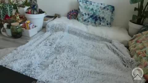 lustlnbalancevh online show from January 19, 7:56 am