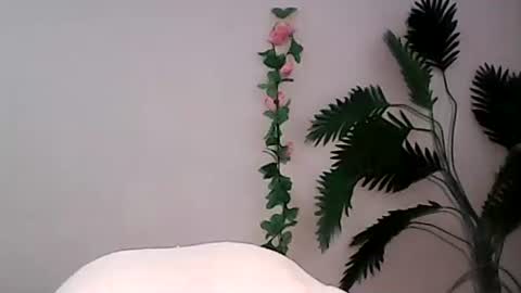 Snapshot of luvu4everxxx chatting on September 9, 1:38 am Bee Bee online show from September 9, 1:38 am