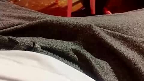 Snapshot of lvacd11 chatting on December 21, 10:30 pm Lvac11 online show from December 21, 10:30 pm