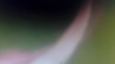 lydiasarch online show from April 10, 8:24 pm