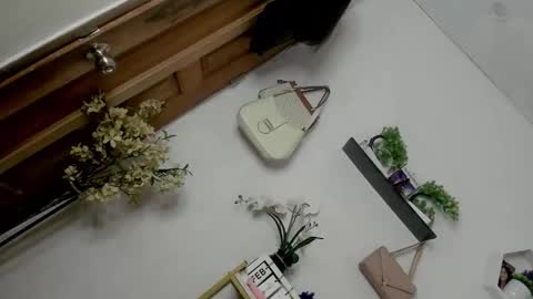 Janelovesu online show from February 13, 12:50 am