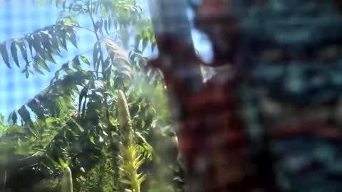 SLoppYxXPeeHoLeXxGspotxX online show from February 15, 8:38 pm