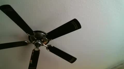 Snapshot of mad_dem0n chatting on January 5, 12:31 am Manuel online show from January 5, 12:31 am