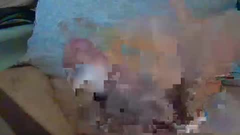 Max online show from December 16, 1:05 pm