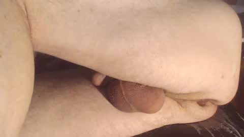 maestro2017 online show from January 12, 5:33 pm